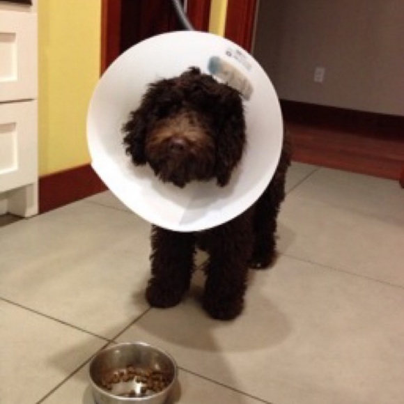 Meet your Posher, Jennifer - Picture 1 of 1